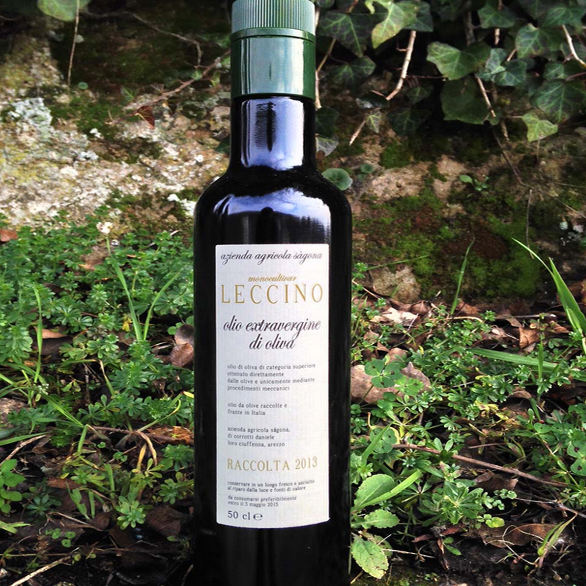 Olio Extra Vergine di Oliva Leccino - Olio Italiano di Qualità - Privilege Wine