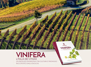 Guida completa ai vitigni d’Italia – Vinifera
