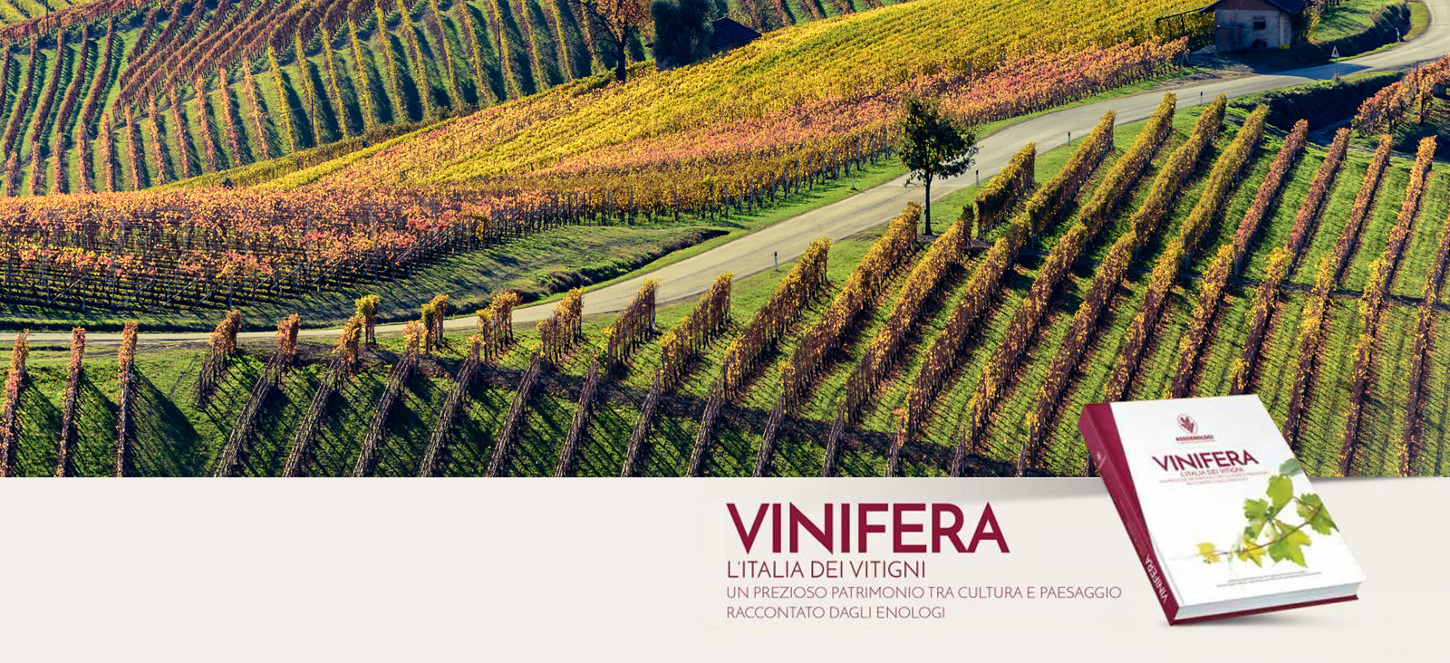 Vinifera - Guida ai vitigni d'Italia